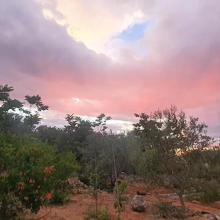 Hvar, Ekatera, 5 Min From Center * Stari Grad (Hvar)